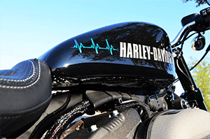 Harley-Davidson® Customs