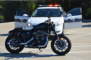 Harley-Davidson® Customs