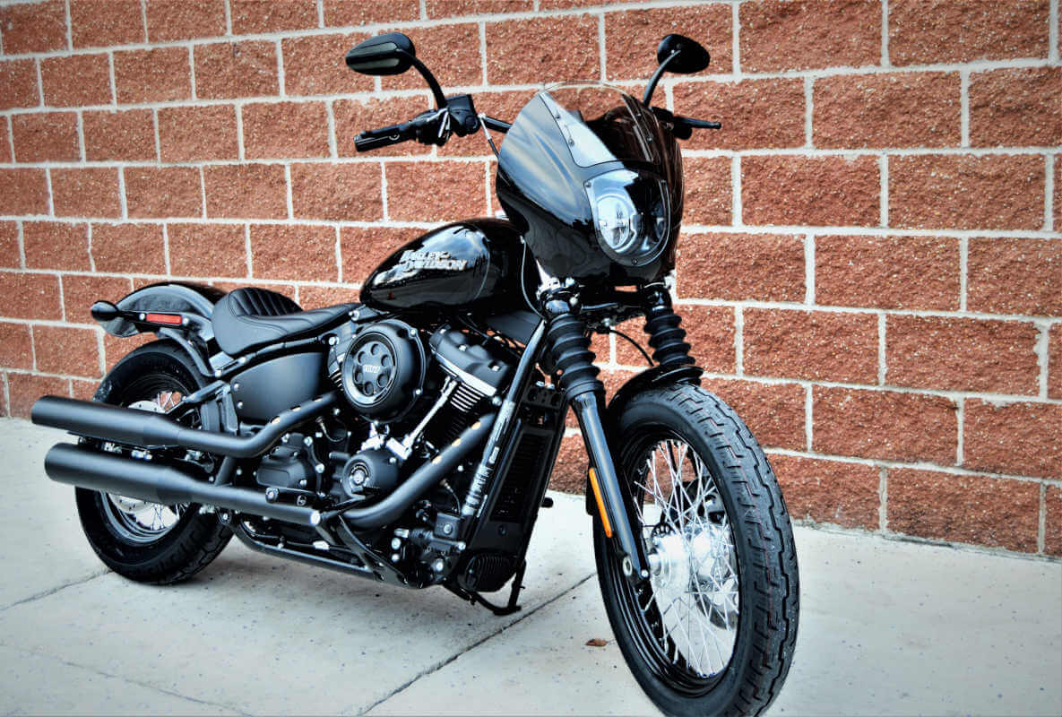 Harley-Davidson® Customs
