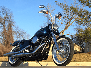 Harley-Davidson® Customs